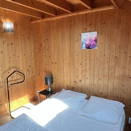 Chalet 4 Pieces A Cabourg Avec Jardin, Proche Piscine Et Tennis, Ideal Pour Familles, 6 Pers. Max - Fr-1-487-325 Exteriér fotografie